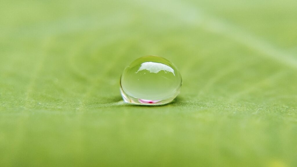 emotional clarity